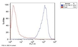 Invitrogen TRA-1-60 Monoclonal Antibody (TRA-1-60) 100 &mu;g; Unconjugated:Antibodies,