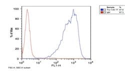 Invitrogen TRA-1-60 Monoclonal Antibody (TRA-1-60) 100 &mu;g; Unconjugated:Antibodies,