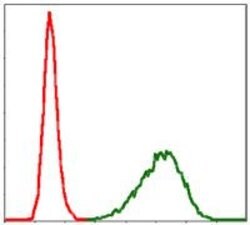 Invitrogen TUBA8 Monoclonal Antibody (2D6) 100 &mu;L; Unconjugated:Antibodies,