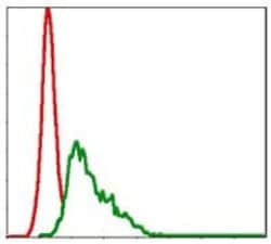 Invitrogen UBC9 Monoclonal Antibody (1B10) 100 &mu;L; Unconjugated:Antibodies,
