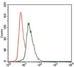 VAV1 Monoclonal Antibody (2E11):Antibodies, Monoclonal
