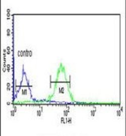 WDR37 Rabbit anti-Human, Polyclonal, Invitrogen 400 &mu;L; Unconjugated:Antibodies,