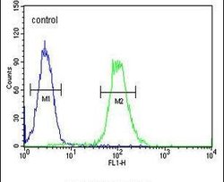 Ku70 Rabbit anti-Human, Polyclonal, Invitrogen 400 &mu;L; Unconjugated:Antibodies,