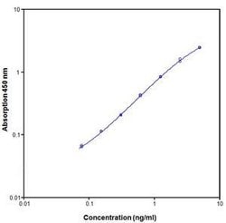 Invitrogen Human TNFR1 (Soluble-60 kDa) ELISA Kit 10 x 96 Tests | Buy Online | Invitrogen&trade; | Fisher Scientific