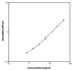 Invitrogen Human CD137 (4-1BB) (Soluble) ELISA Kit:Immunoassay Reagents