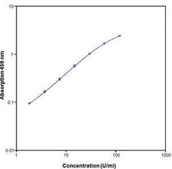 Invitrogen™ Monkey IL-6 ELISA Kit