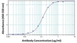 Invitrogen hCG Monoclonal Antibody (SC1) 100 &mu;g; Unconjugated:Antibodies,