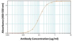 Invitrogen hCG Monoclonal Antibody (3002) 1 mg; Unconjugated:Antibodies,