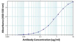 Invitrogen hCG beta Monoclonal Antibody (P1G7F12) 1 mg; Unconjugated:Antibodies,