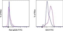 Invitrogen IDO Monoclonal Antibody (mIDO-48), FITC, eBioscience 100 &mu;g | Buy Online | Invitrogen&trade; | Fisher Scientific