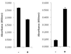 Invitrogen™ Human NFkB p65 (Total/Phospho) InstantOne™ ELISA Kit
