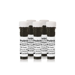 Invitrogen&trade;&nbsp;Tampon de tache brillant
