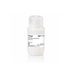 Invitrogen eBioscience IHC/ICC Blocking Buffer - High Protein 50 mL | Buy Online | Invitrogen&trade; | Fisher Scientific