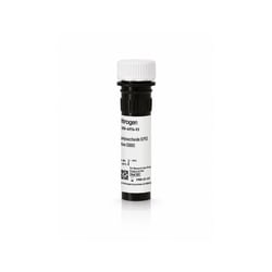 Invitrogen&trade;&nbsp;eBioscience&trade; Lipopolysaccharide (LPS) Solution (500X)