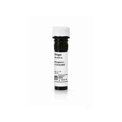 Invitrogen&trade;&nbsp;eBioscience&trade; Phytohemagglutinin-L (PHA-L) Solution (500X)