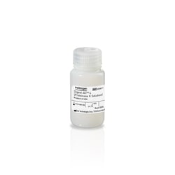 Invitrogen&trade;&nbsp;Digest-All 4 (Proteinase K)