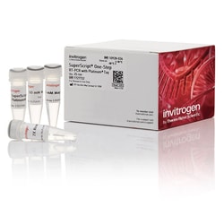 Invitrogen™ Platinum™ SuperScript™ One-Step RT-PCR System with Platinum <i>Taq</i> DNA Polymerase