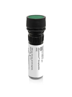 Invitrogen eBioscience Streptavidin FITC Conjugate 250 &mu;g | Buy Online | Invitrogen&trade; | Fisher Scientific