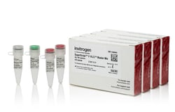 Invitrogen SuperScript V VILO Master Mix 2000 Reactions | Buy Online | Invitrogen&trade; | Fisher Scientific