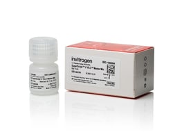 Invitrogen SuperScript V VILO Master Mix 2000 Reactions | Buy Online | Invitrogen&trade; | Fisher Scientific