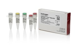 Invitrogen SuperScript V VILO Master Mix 2000 Reactions | Buy Online | Invitrogen&trade; | Fisher Scientific
