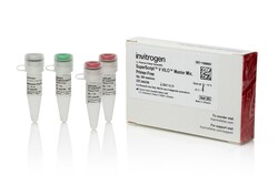 Invitrogen SuperScript V VILO Master Mix, Primer-Free, with gDNA Removal 1250 Reactions | Buy Online | Invitrogen&trade; | Fisher Scientific