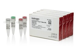 Invitrogen SuperScript V VILO Master Mix, Primer-Free, with gDNA Removal 1250 Reactions | Buy Online | Invitrogen&trade; | Fisher Scientific