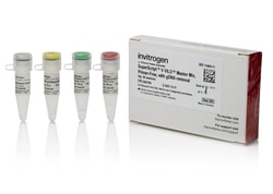 Invitrogen SuperScript V VILO Master Mix, Primer-Free, with gDNA Removal 1250 Reactions | Buy Online | Invitrogen&trade; | Fisher Scientific