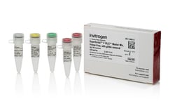 Invitrogen SuperScript V VILO Master Mix, Primer-Free, with gDNA Removal 1250 Reactions | Buy Online | Invitrogen&trade; | Fisher Scientific