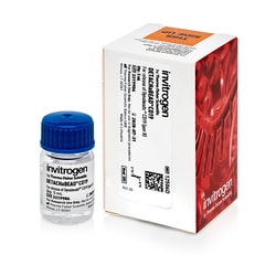 Invitrogen&trade;&nbsp;DETACHaBEAD&trade; CD19 Kit