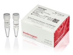 Invitrogen LR Clonase II Plus enzyme:Enzymes and Inhibitors:Modifying Enzymes