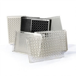 Thermo Scientific&trade;&nbsp;Pierce&trade; NeutrAvidin&trade; Coated Plates