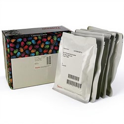 Thermo Scientific Pierce Streptavidin Coated Plates Clear | Buy Online | Thermo Scientific&trade; | Fisher Scientific