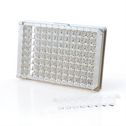 Thermo Scientific™ Pierce™ Anti-GST Coated Plates, Clear, 8-Well Strip