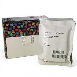 Thermo Scientific Pierce Maleimide Activated Plates Clear | Buy Online | Thermo Scientific&trade; | Fisher Scientific