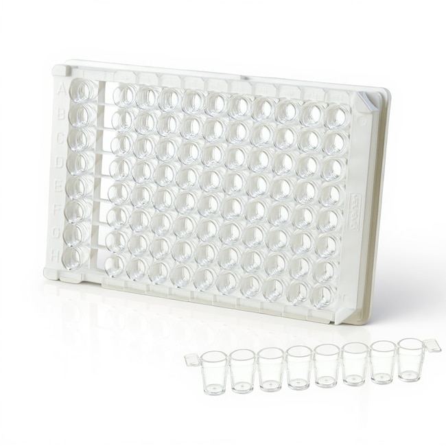 Thermo Scientific™ Pierce™ Biotin Coated Plates, Clear, 8-Well Strip