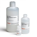 glutathione superflow agarose Affinity chromatography media, agarose, pierce Has a shelf life of two years if stored properly desiccated at Group Specific Affinity Chromatography |