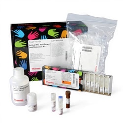 Thermo Scientific Active Rho Pull-Down and Detection Kit 30 Reaktionen | Buy Online | Thermo Scientific&trade; | Fisher Scientific