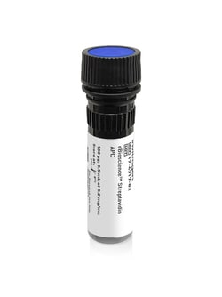 Invitrogen eBioscience Streptavidin APC Conjugate 100 &mu;g | Buy Online | Invitrogen&trade; | Fisher Scientific