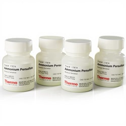 Thermo Scientific™ Ammonium Persulfate