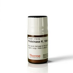Thermo Scientific™ Proteinase K Powder (≥30 U/mg)