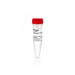 Invitrogen&trade;&nbsp;Lipofectin&trade; Transfection Reagent