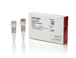 Invitrogen&trade;&nbsp;SuperScript V Reverse Transcriptase