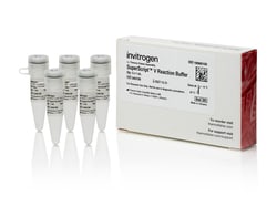Invitrogen&trade;&nbsp;SuperScript V Reaction Buffer