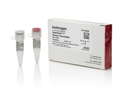 Invitrogen SuperScript V Reverse Transcriptase 40,000 Units | Buy Online | Invitrogen&trade; | Fisher Scientific