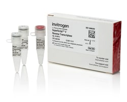 Invitrogen SuperScript V Reverse Transcriptase 40,000 Units | Buy Online | Invitrogen&trade; | Fisher Scientific