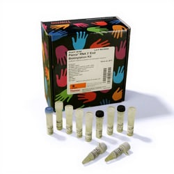 Thermo Scientific Pierce RNA 3' End Biotinylation Kit 20 Reactions | Buy Online | Thermo Scientific&trade; | Fisher Scientific
