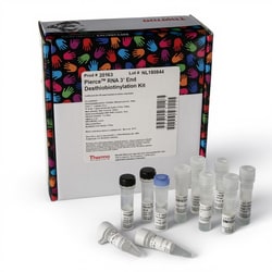 Thermo Scientific™ Pierce™ RNA 3' End Desthiobiotinylation Kit
