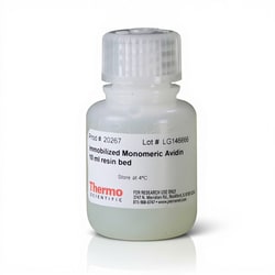 Thermo Scientific Pierce Monomeric Avidin Agarose 10 mL | Buy Online | Thermo Scientific&trade; | Fisher Scientific