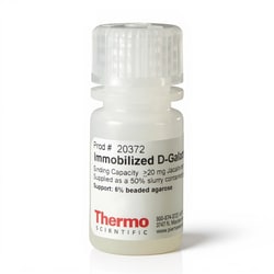 Thermo Scientific Pierce D-Galactose Agarose 5 mL | Buy Online | Thermo Scientific&trade; | Fisher Scientific